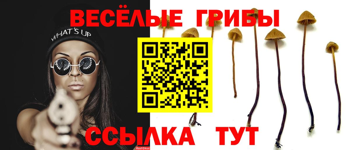 Псилоцибиновые грибы мухоморы  Галлюциногенные грибы GOLDEN TEACHER  Ханты-Мансийск  Вход с VPN 